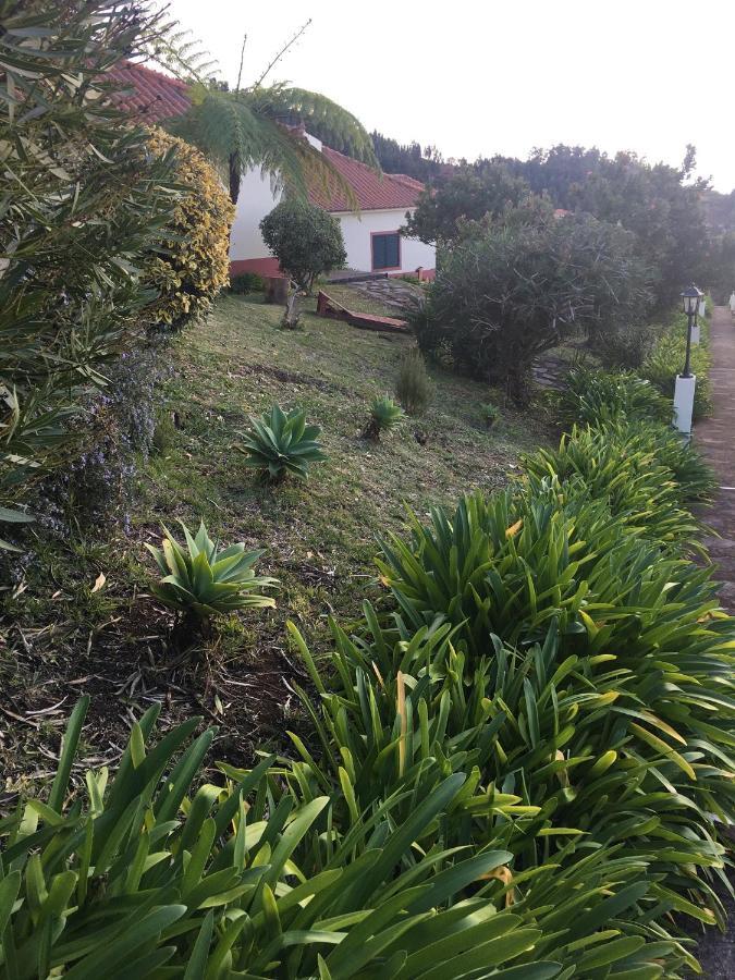 Bungalows Do Amparo Ponta do Pargo Bagian luar foto